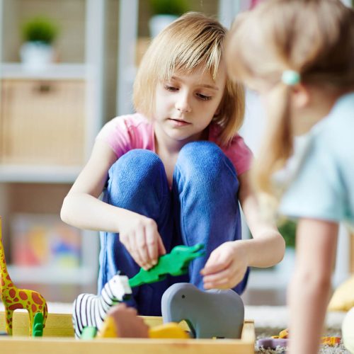 playing-with-toy-animals-PUPS24L